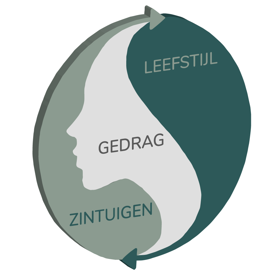 Gedrag en gezonde leefstijl SenseStory