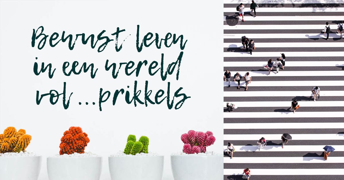 Bewust leven in een wereld vol prikkels FB