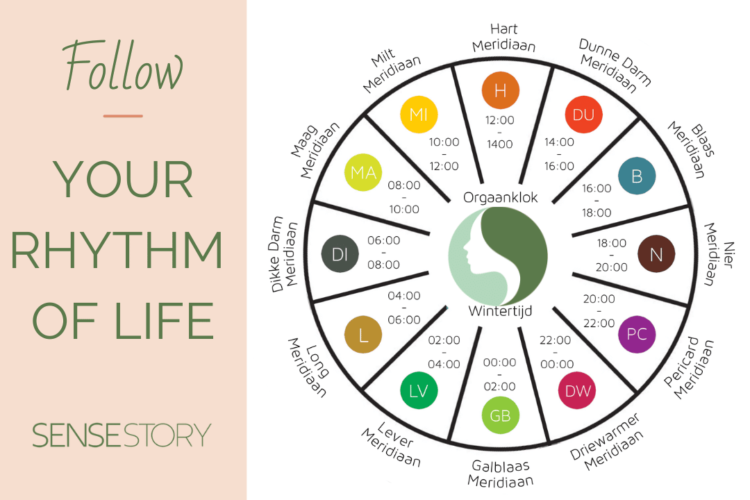 inzicht in jouw bioritme door de Orgaanklok wintertijd